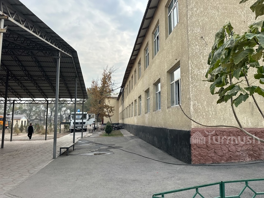 Сүрөт: Turmush
