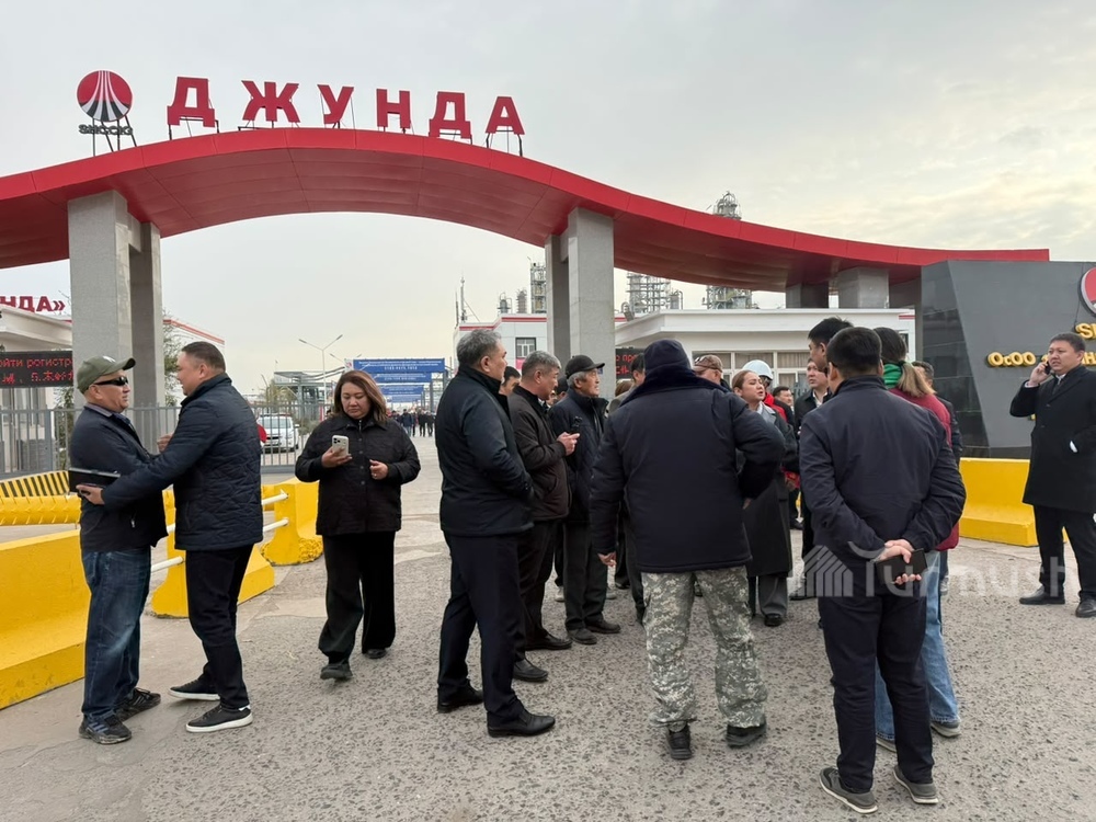 Сүрөт: Turmush