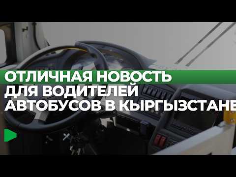 Фото: Номад ТВ (YouTube)
