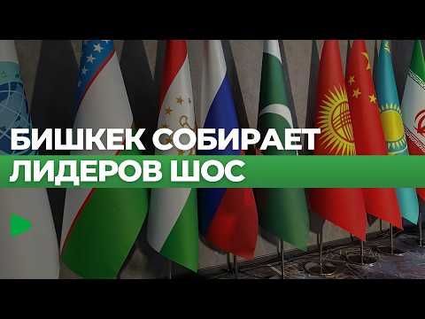 Фото: Номад ТВ (YouTube)