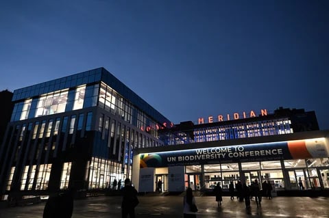 Фото: Кабар (рус.)