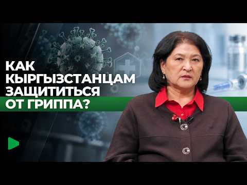 Фото: Номад ТВ (YouTube)