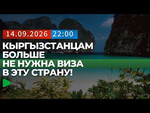 Фото: Номад ТВ (YouTube)