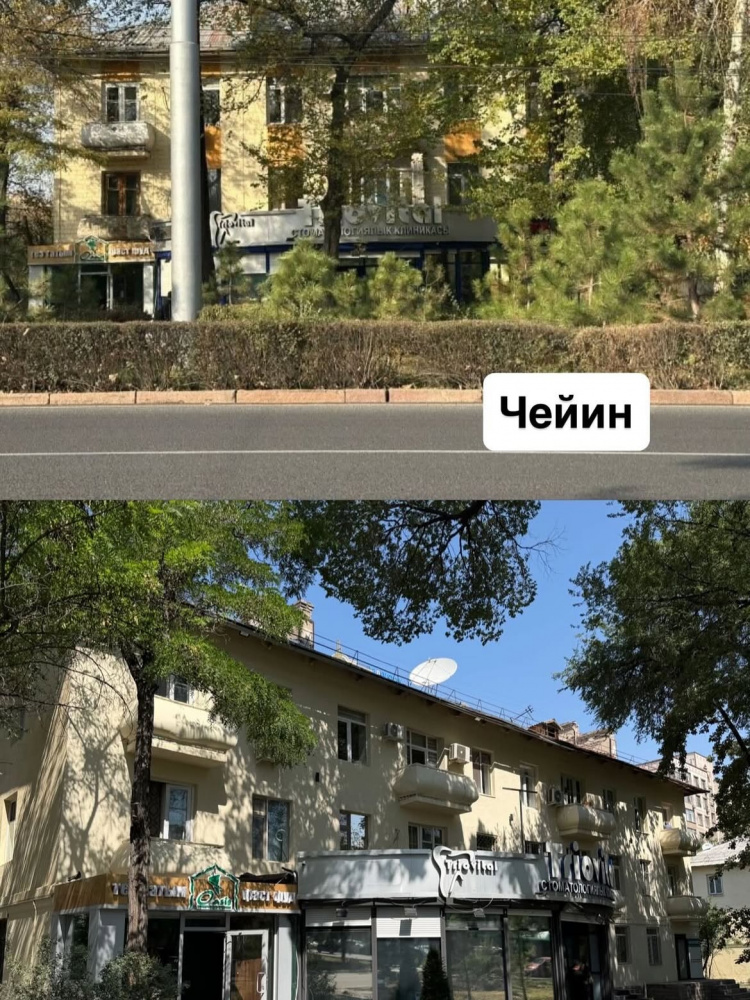Сүрөт: Kaktus.media