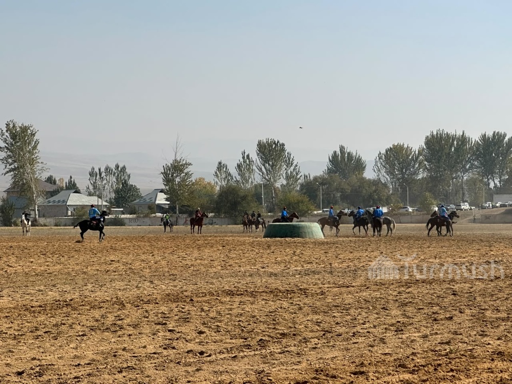 Сүрөт: Turmush