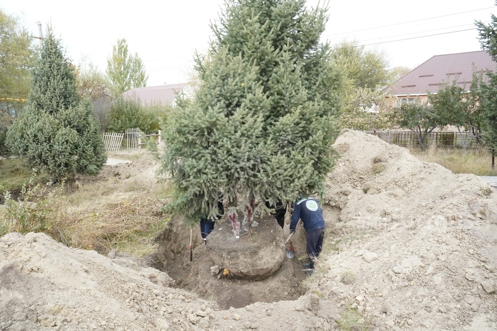 Фото: Turmush