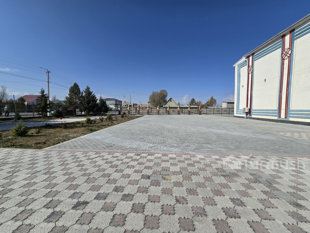 Сүрөт: Turmush
