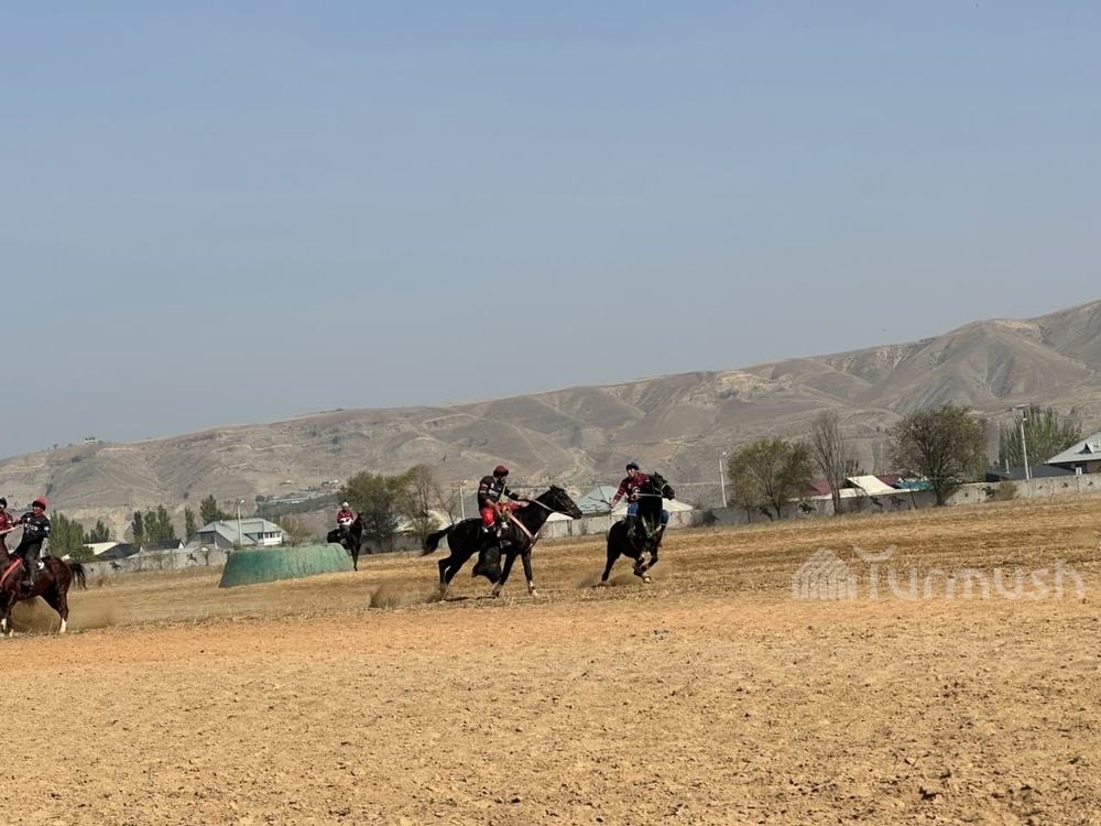 Фото: Turmush