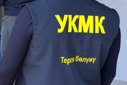 ГКНБ трансмилдеттүү топту уюму боюнча КРге мыйзамсыз телефон киргизүүнү токтотту