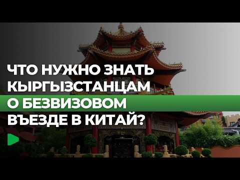 Фото: Номад ТВ (YouTube)