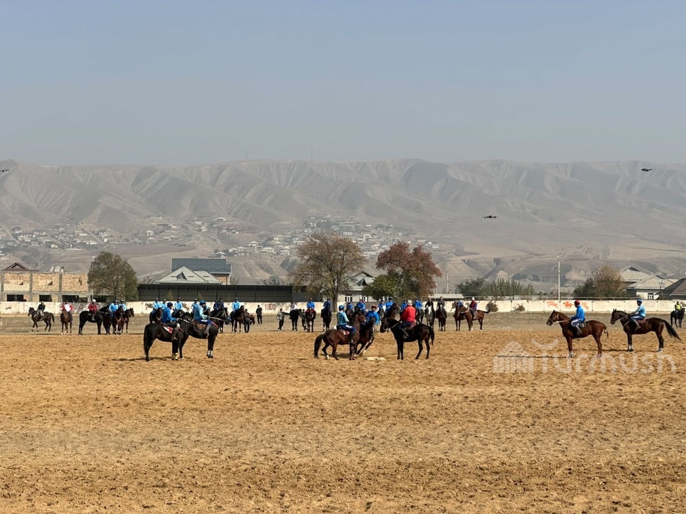 Сүрөт: Turmush