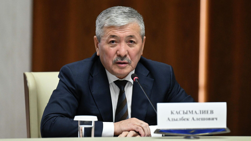 Глава кабмина разъяснил: земля Кыргызстана не продается, а сдается инвесторам в аренду на 49 лет
