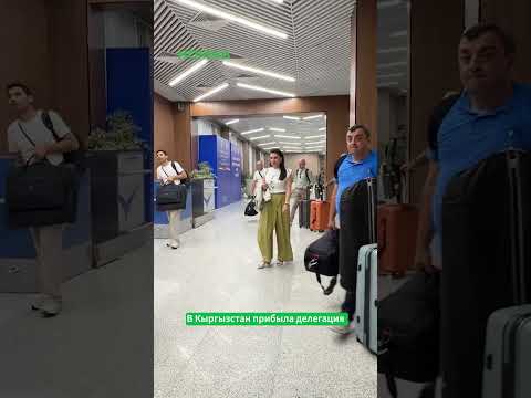 Фото: Номад ТВ (YouTube)