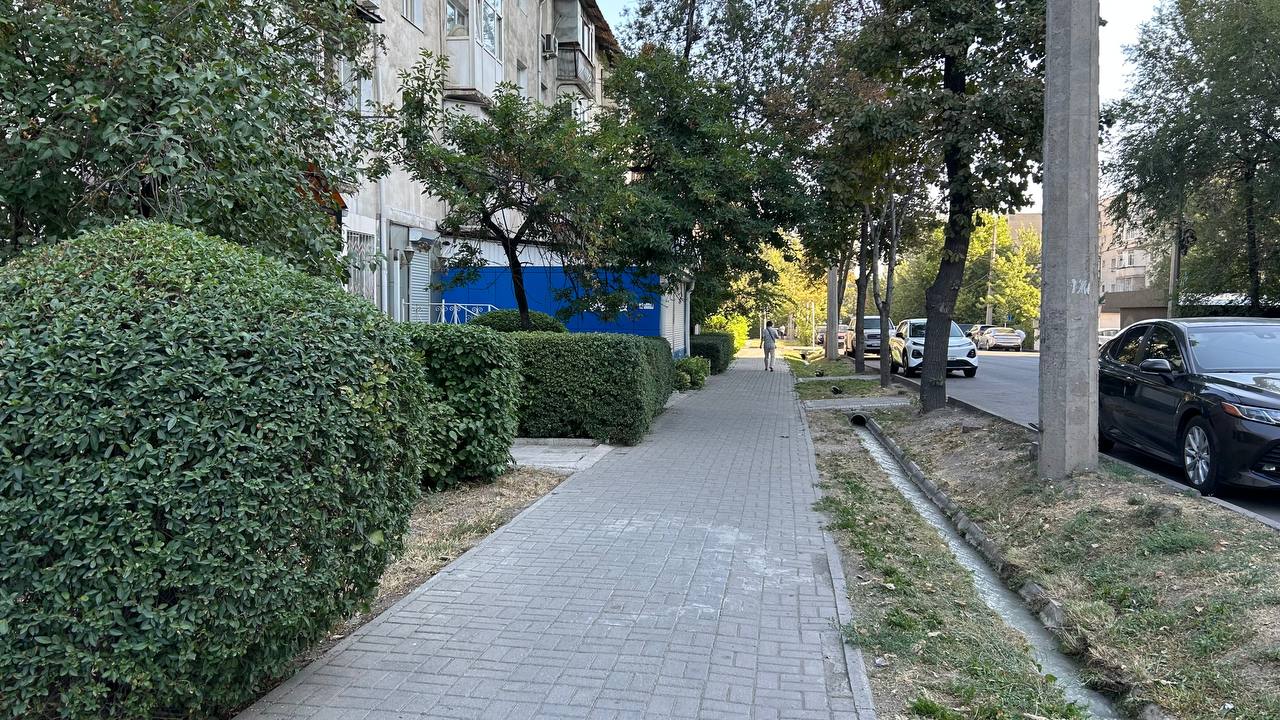 Сүрөт: 24.kg