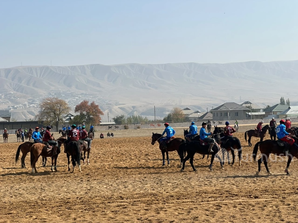 Фото: Turmush