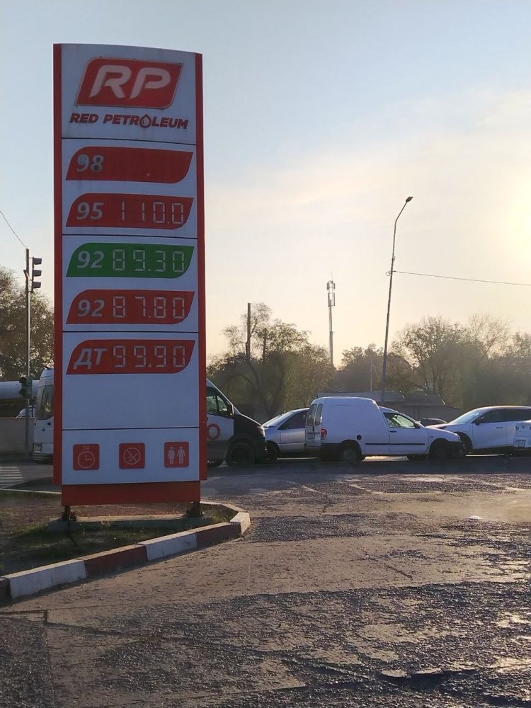 Сүрөт: Kaktus.media