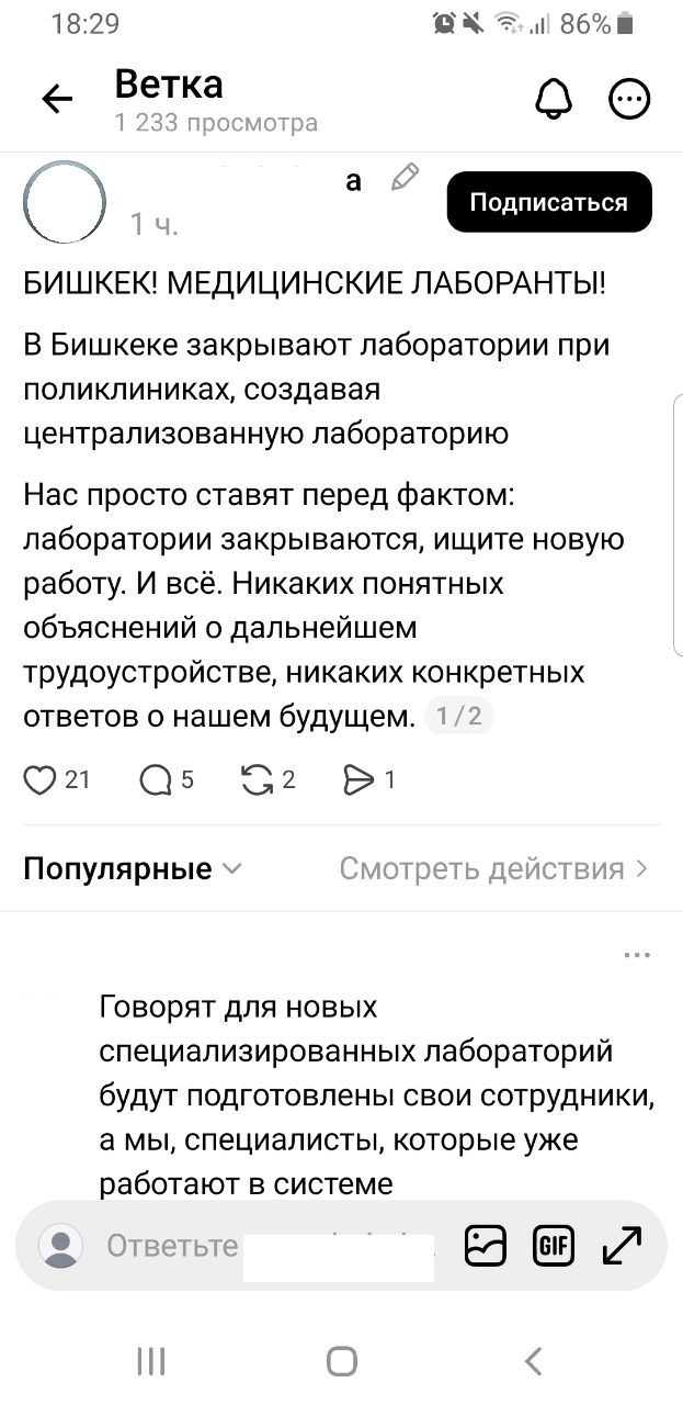 Сүрөт: Kaktus.media
