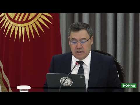 Фото: Номад ТВ (YouTube)