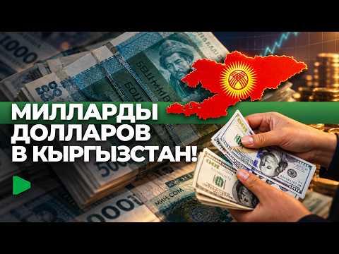 Фото: Номад ТВ (YouTube)