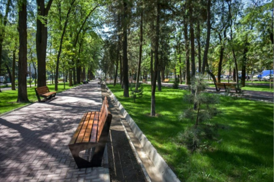 Фото: Vesti.kg