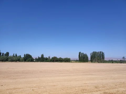 Фото: Кабар (рус.)