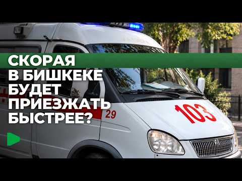 Фото: Номад ТВ (YouTube)