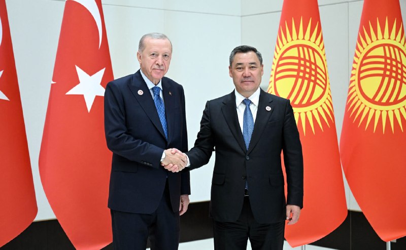 Фото: Nomad