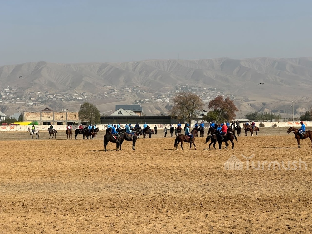 Сүрөт: Turmush