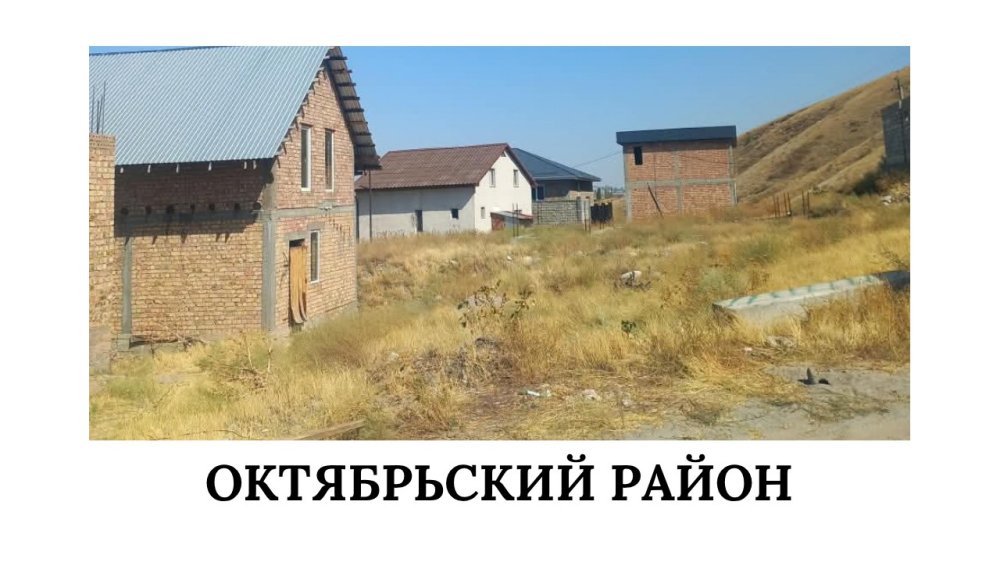 Сүрөт: Kaktus.media