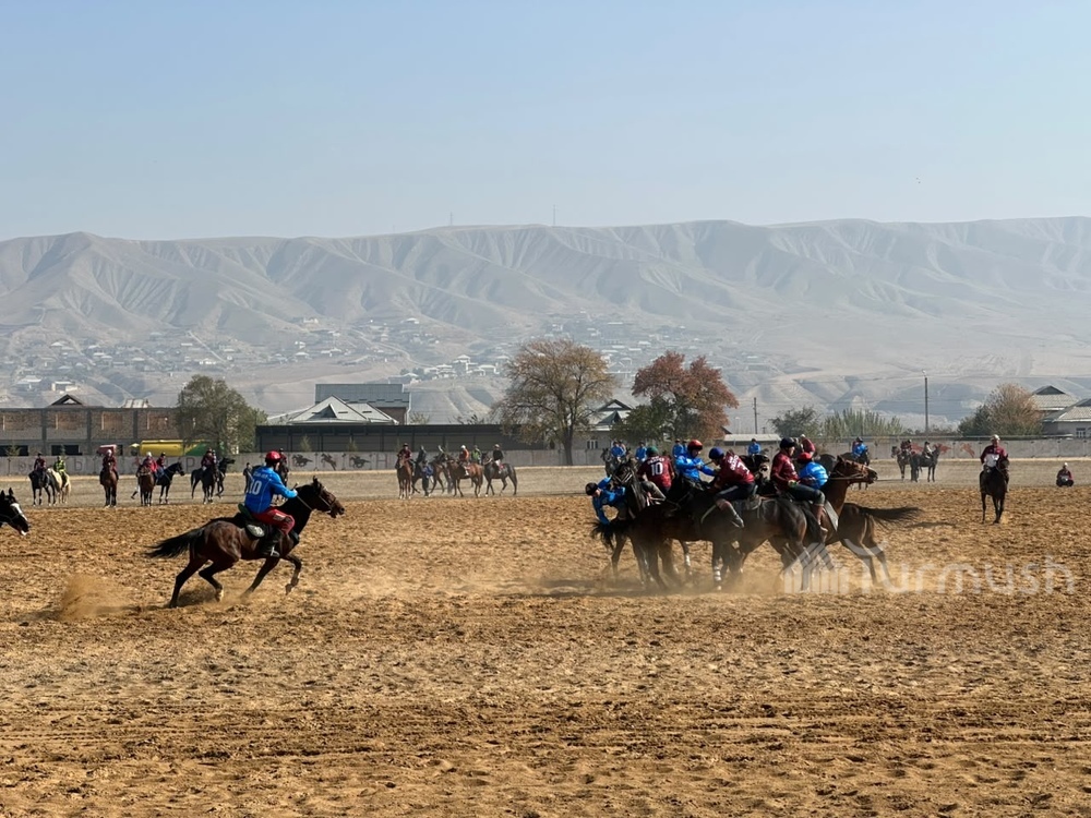 Фото: Turmush
