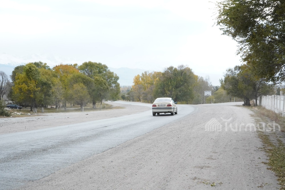 Фото: Turmush