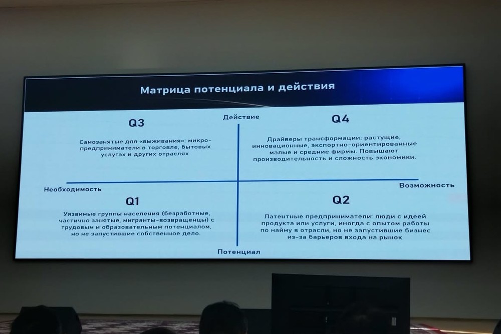 НИСИ представил матрицу для адресной поддержки бизнеса Кыргызстана