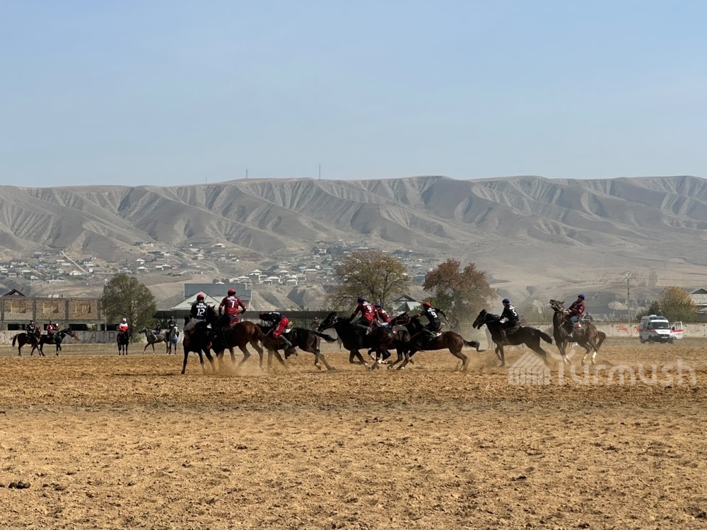 Фото: Turmush