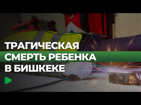 Сүрөт: Номад ТВ (YouTube)