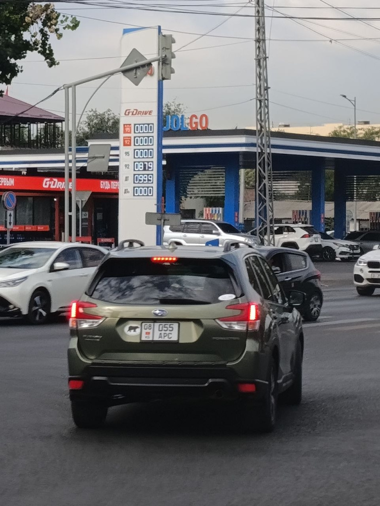 Сүрөт: Kaktus.media