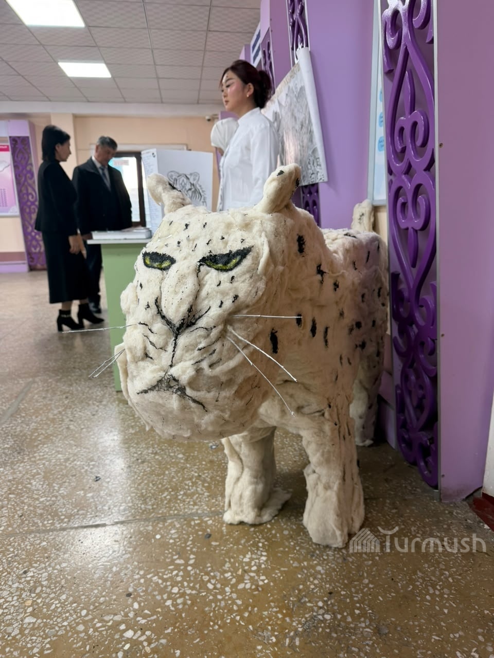 Сүрөт: Turmush