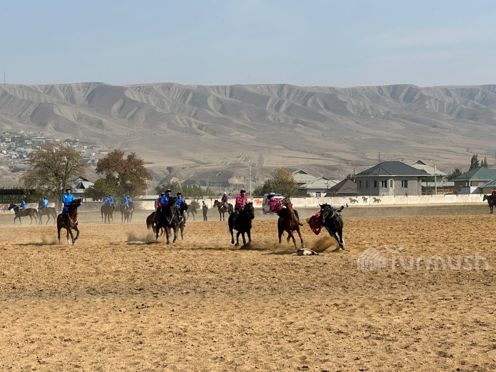 Фото: Turmush