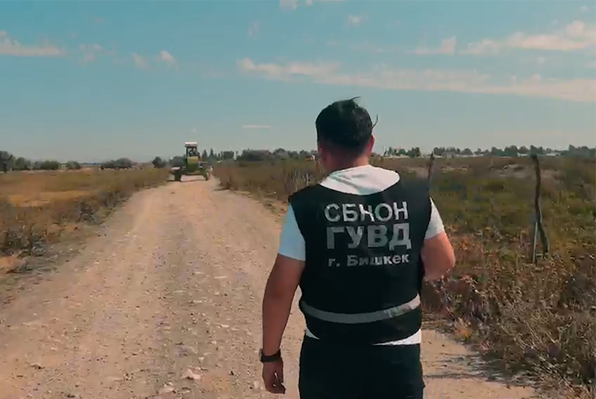 В Кара-Куле уничтожили более 8 тонн дикорастущей конопли, в Оше также провели профилактические мероприятия