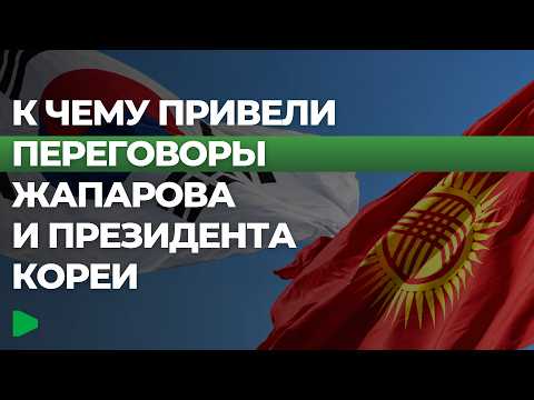 Фото: Номад ТВ (YouTube)