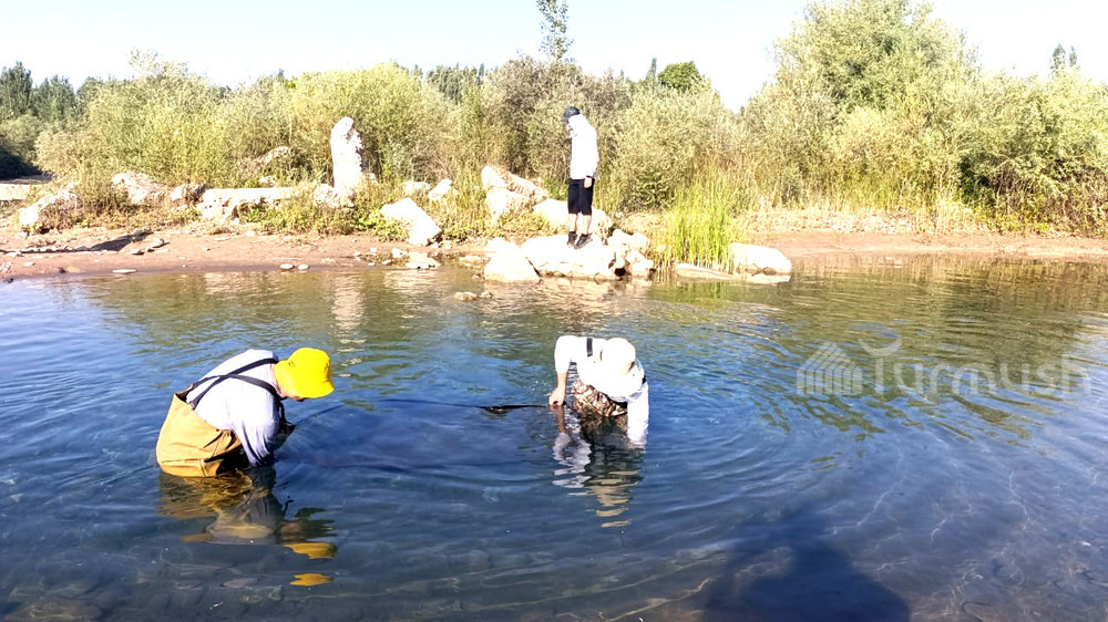 Ученые обнаружили 14 видов рыбы в Кемпир-Абадском водохранилище