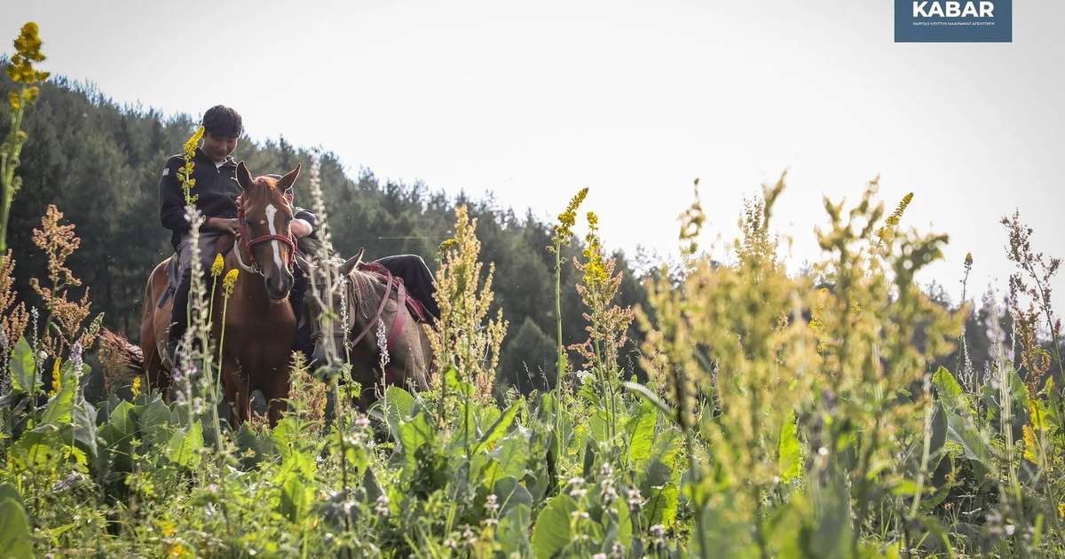 Фото: Кабар (рус.)