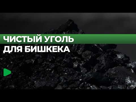 Фото: Номад ТВ (YouTube)