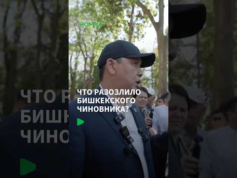 Бишкек шаарында терезелерден торлор эмне үчүн алынууда?