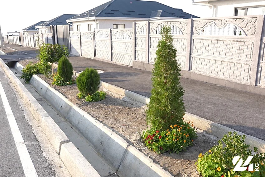 Сүрөт: 24.kg