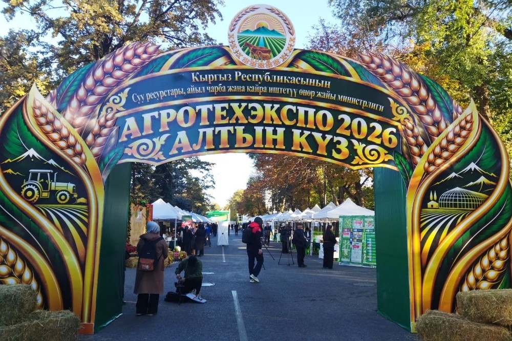 Сүрөт: Tazabek