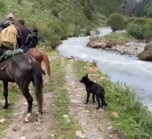Чүйдөгү Шамши жайлоосунда калып калган адамдарга Өзгөчө кырдаалдар министрлигинен жардам сурашты