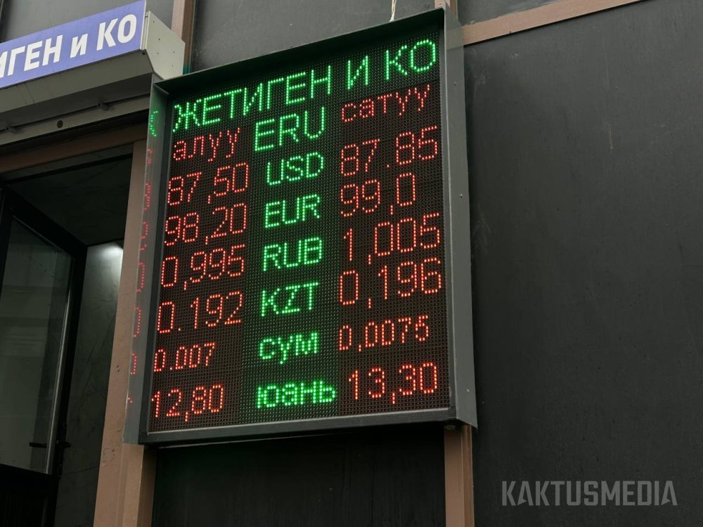 Сүрөт: Kaktus.media