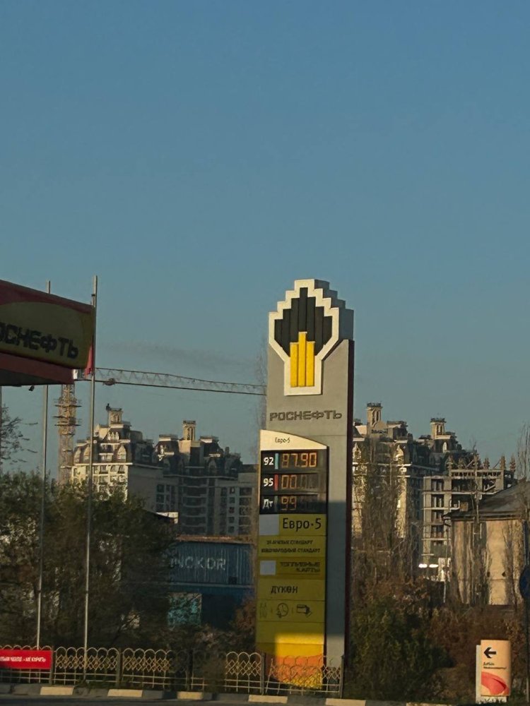 Сүрөт: Kaktus.media