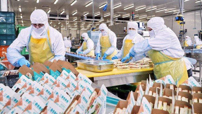 Депутат предложил создать единое госпредприятие по питанию для школ, детсадов и больниц