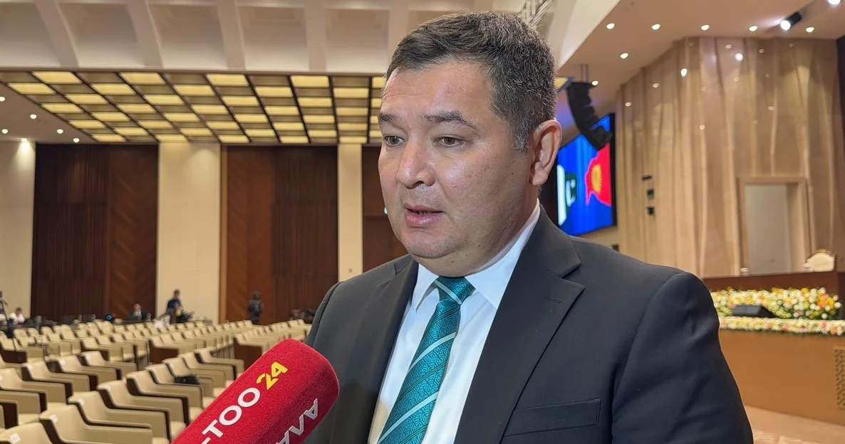 В Кыргызстане действует около 1400 предприятий с пакистанским капиталом